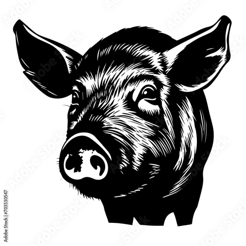 Realistic Pig Head Farm Animal Vector