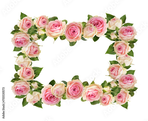 Small pink rose flowers in a floral frame isolated on white or transparent background.