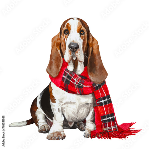 cute basset hound dog wearing scarf, graphic resources with transparent background, animal watercolor drawing