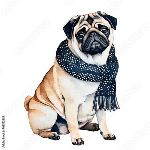 cute pug dog wearing scarf, graphic resources with transparent background, animal watercolor drawing