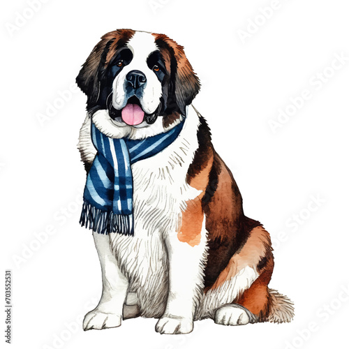 cute Saint Bernard dog wearing scarf, graphic resources on transparent background, animal watercolor drawing