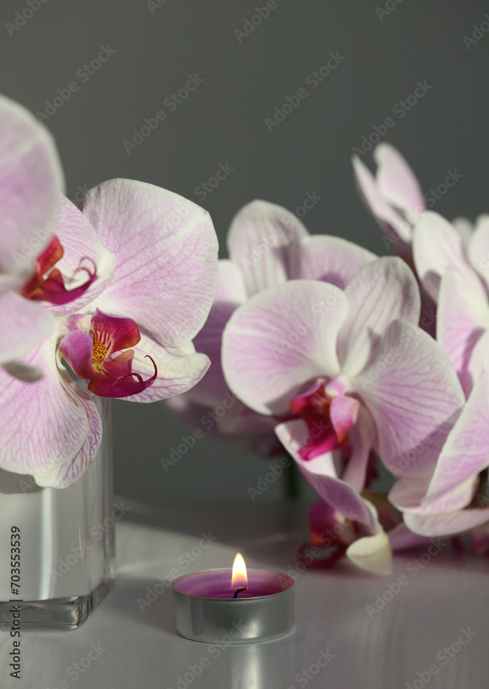 Pink phalaenopsis orchid flower, candle on beige. Selective soft focus. Minimalist art still life. Light and shadow background. Pink phalaenopsis orchid flower, candle on beige. Selective soft focus. Minimalist art still life. Light and shadow background.