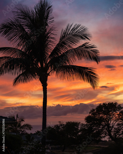 Sunset in Hawaii