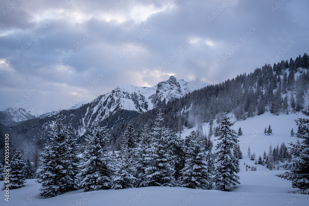 Winter | Landschaft | Natur
