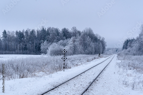 Принти на полотні tracks in winter, frostbitten trees and fields in extreme cold