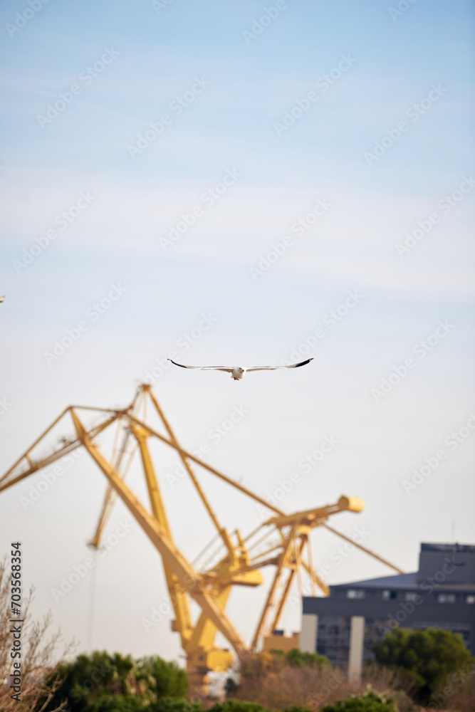 birds on the sea and on lights in turkey birds on the sea and on lights in turkey