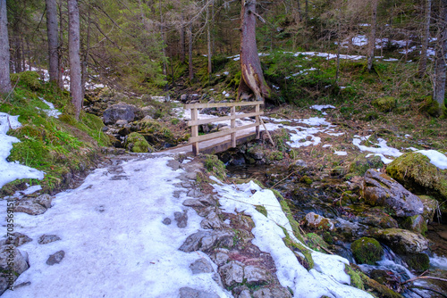 Wooden bridge over the wild mountain river in coniferous forest in Tatra Mountains. Strazyska valley in summer. Tatra mountains in Poland, Europe