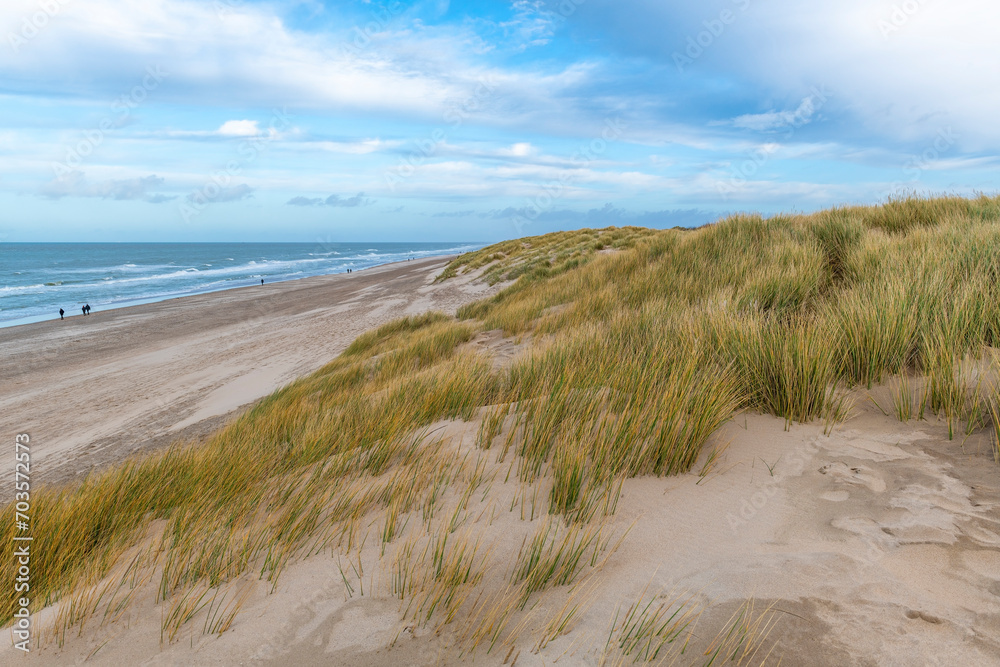 Sand Dunes landscape with people walking along North Sea beach, Flanders, Belgium.