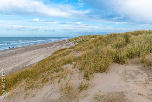 Sand Dunes landscape with people walking along North Sea beach  Flanders  Belgium.