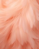 background of feathers and peach fluff