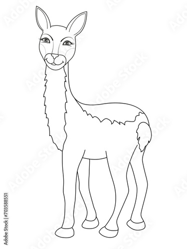 Vector illustration of vicuna isolated on white background. Coloring page.