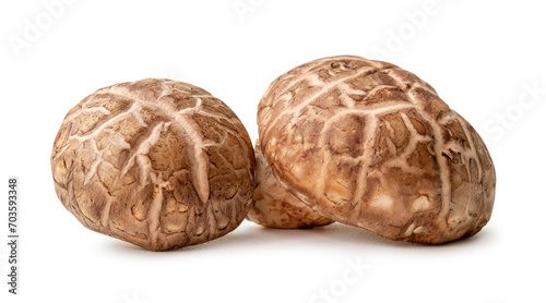 Fresh and dry shiitake mushrooms in stack or pile isolated on white background with clipping path and shadow in png file format photo