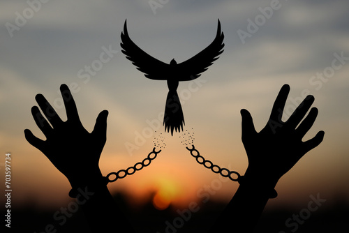 Freedom concept. The shadow of a pigeon is released from the chains that bind human arms. golden sun background in the morning photo