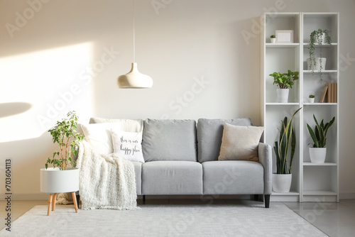 Comfortable sofa and shelving unit near white wall