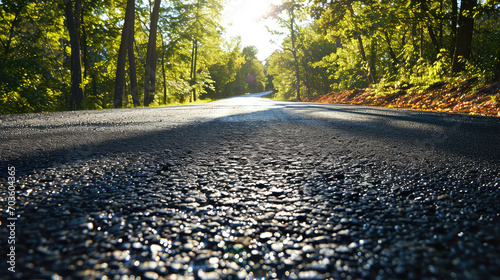 Cushioned Polyester Uniform Surfaced Accessible Roadway