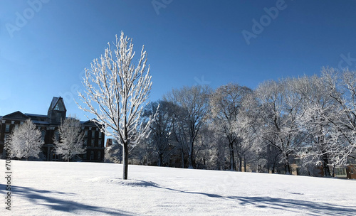 After snow and ice storm at University of Kentucky photo