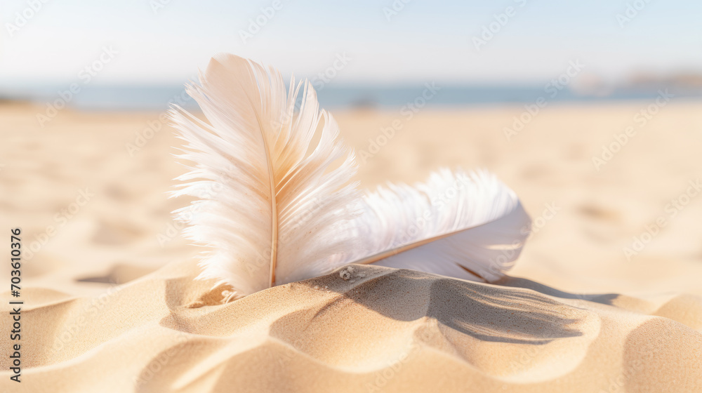 A detailed image captures a soft, white feather, full of sand and glitter, sitting on a sandy beach. A detailed image captures a soft, white feather, full of sand and glitter, sitting on a sandy beach.