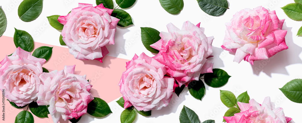 Pink roses with green leaves overhead view - flat lay Pink roses with green leaves overhead view - flat lay