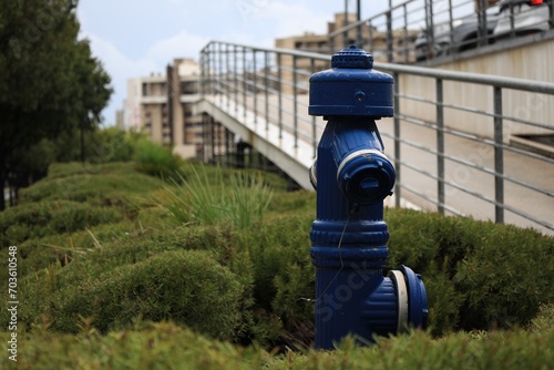 Blue metal fire hydrant and green bushes on city street. Space for text