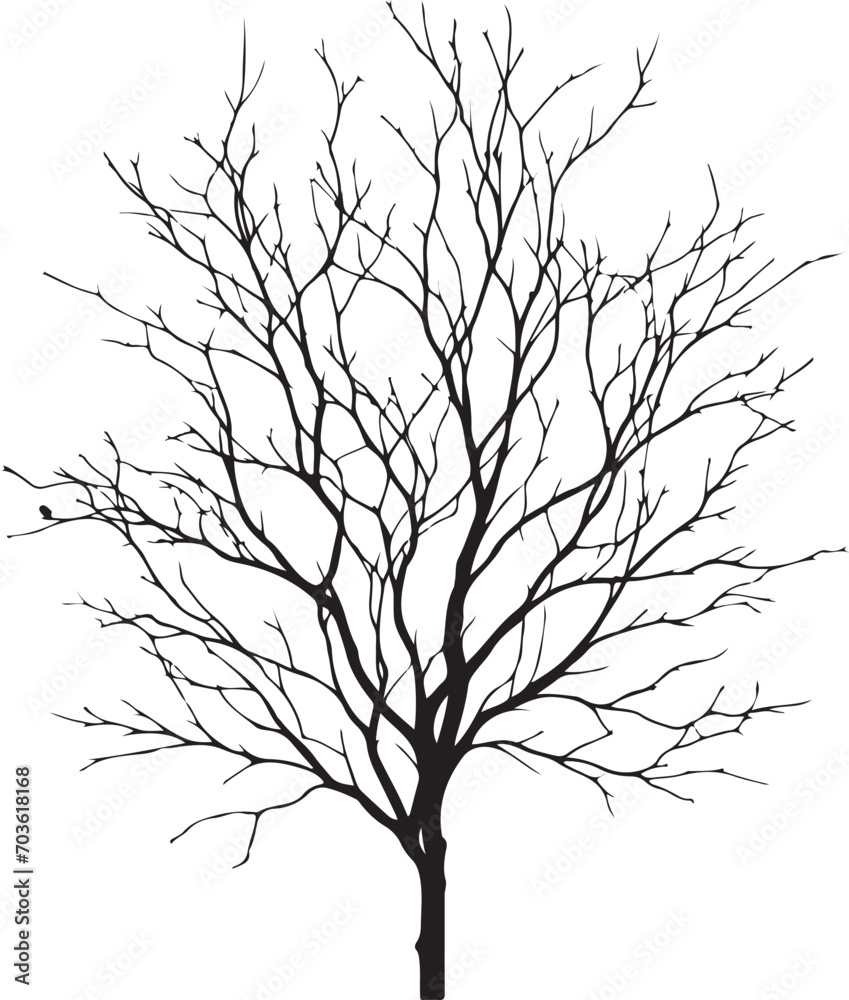 vector black silhouette of a bare tree, Naked Tree vector silhouette, isolated white background vector black silhouette of a bare tree, Naked Tree vector silhouette, isolated white background