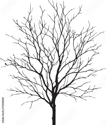 vector black silhouette of a bare tree, Naked Tree vector silhouette, isolated white background