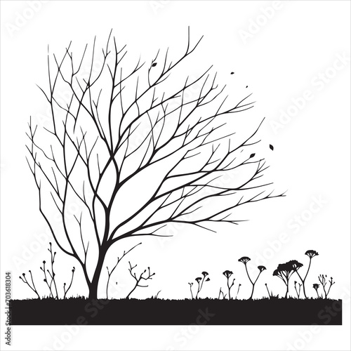 vector black silhouette of a bare tree  Naked Tree vector silhouette  isolated white background