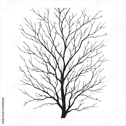 vector black silhouette of a bare tree, Naked Tree vector silhouette, isolated white background