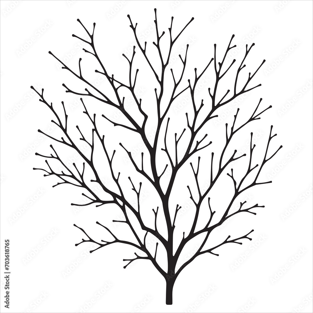 Fototapeta premium a naked tree branches vector silhouette black color illustration