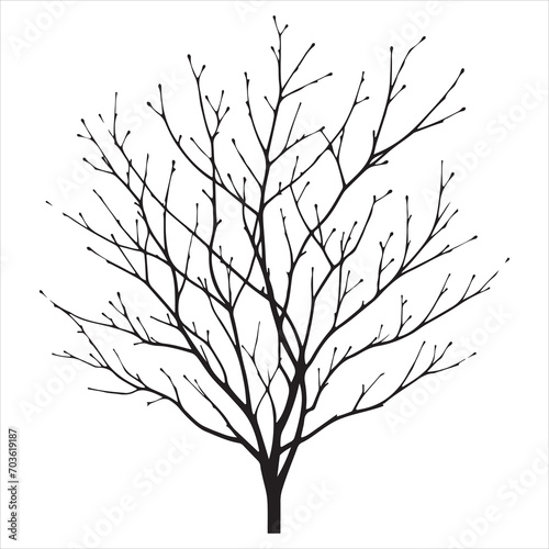 a naked tree branches vector silhouette black color illustration