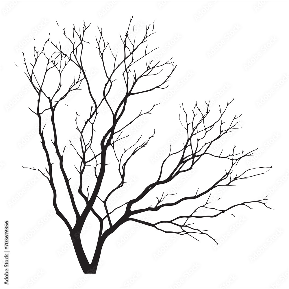 Fototapeta premium a naked tree branches vector silhouette black color illustration
