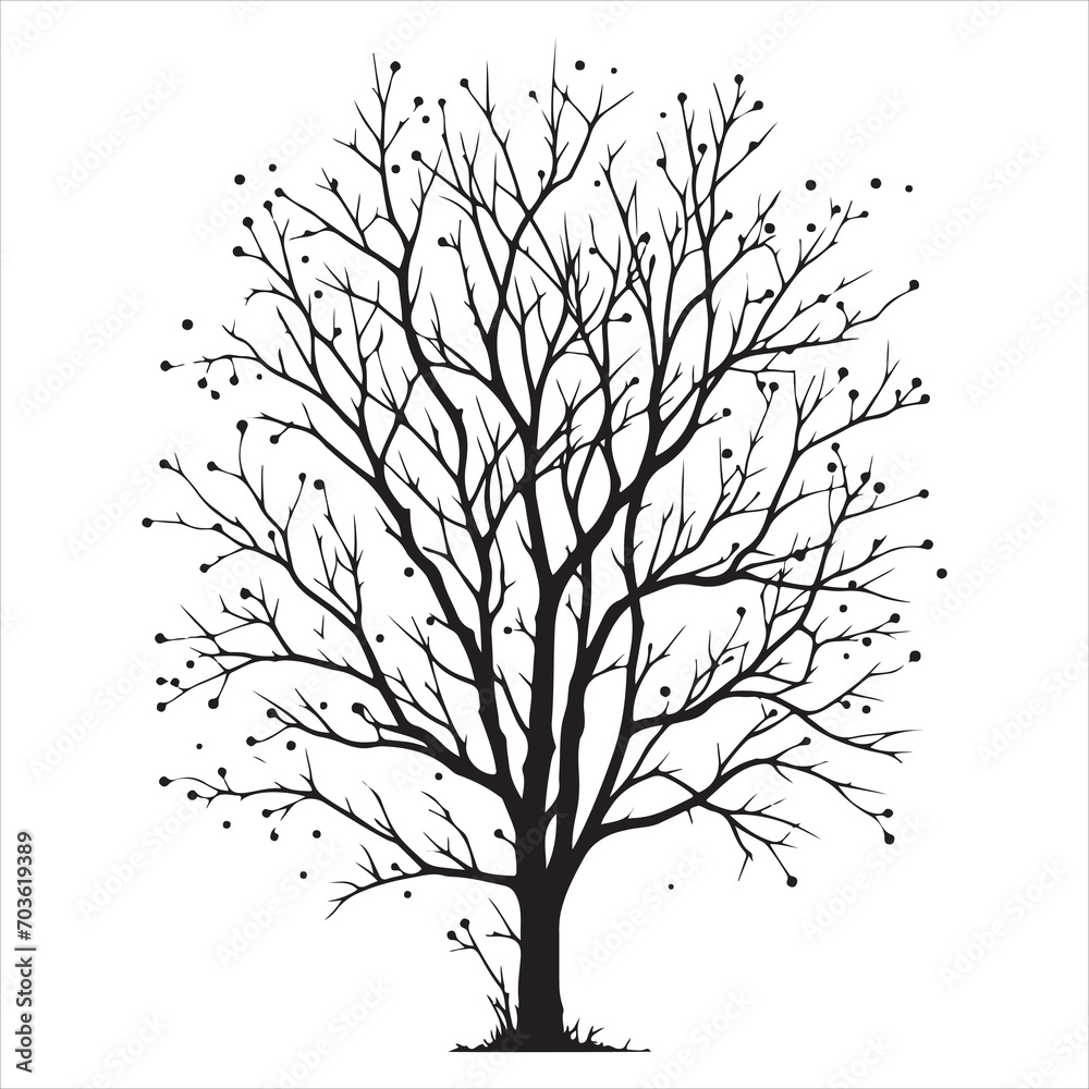 Obraz premium a naked tree branches vector silhouette black color illustration
