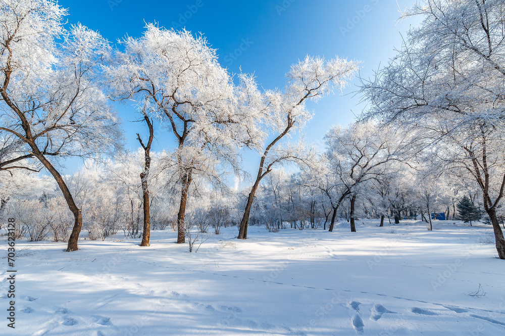 Rime landscape of urban forest in Daqing City, Heilongjiang Province, China. Rime landscape of urban forest in Daqing City, Heilongjiang Province, China.