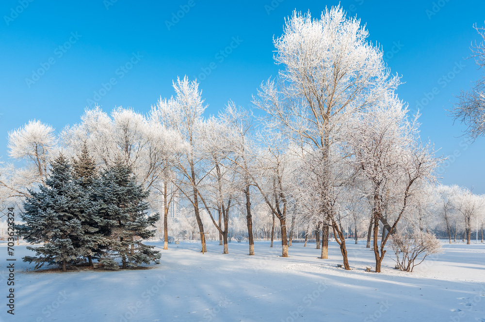 Rime landscape of urban forest in Daqing City, Heilongjiang Province, China. Rime landscape of urban forest in Daqing City, Heilongjiang Province, China.