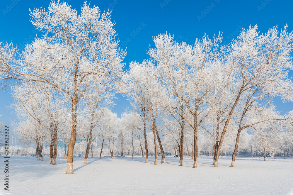 Rime landscape of urban forest in Daqing City, Heilongjiang Province, China. Rime landscape of urban forest in Daqing City, Heilongjiang Province, China.