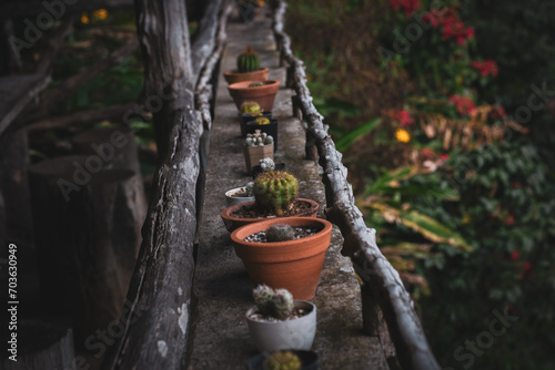 pots in the garden © THAMAKORN WINTHACHAI