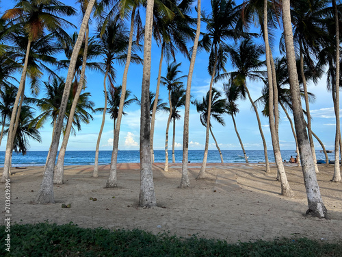 Karibik Strand Isla Margarita