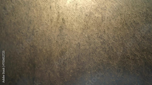 dusty on the glass of window texture, dirty background. photo