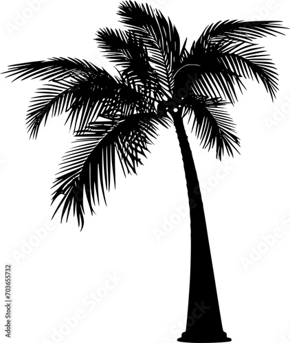 silhouette of palm tree vector