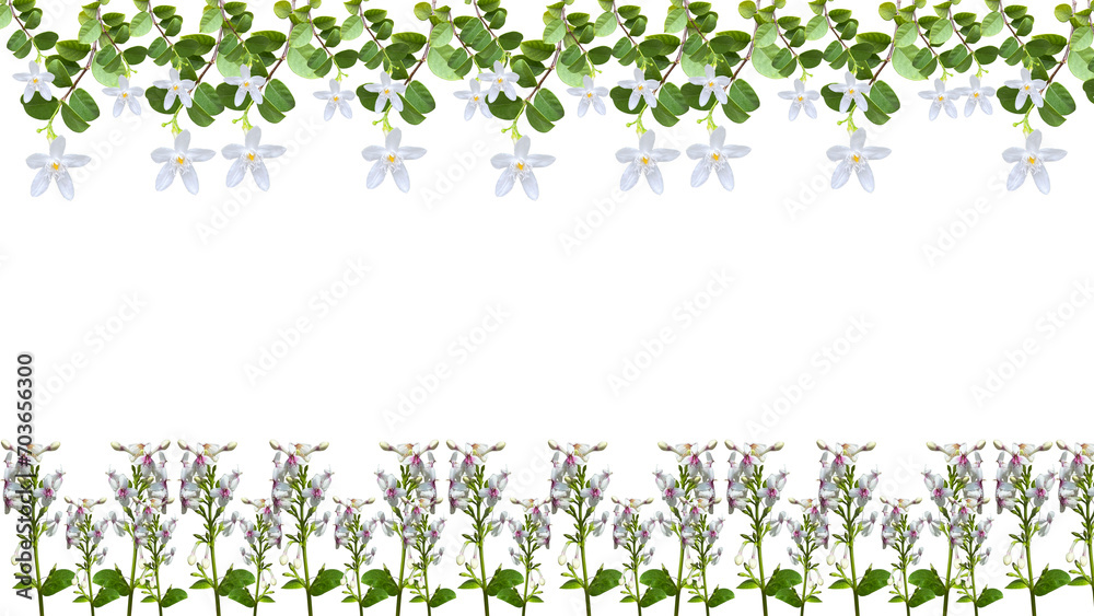 leaves, grass, and flowers background leaves, grass, and flowers background