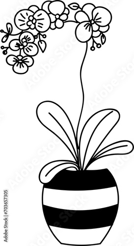 Botanical Floral Hand Drawn Line Art in Pot