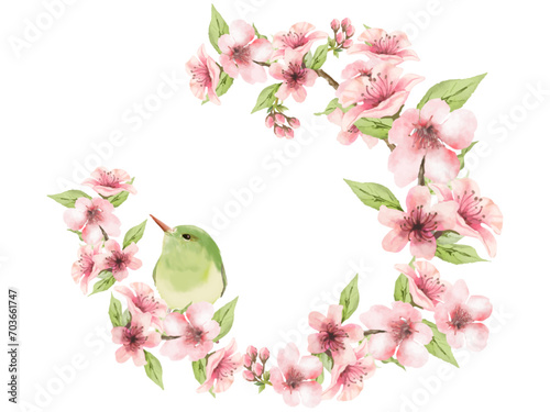 うぐいすのとまる桜のリースのイラスト（水彩画）