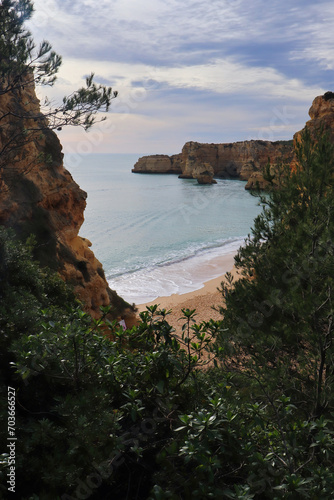 Shrubs on a cliff overlooking a sandy beach on a winter day in southern Portugal.