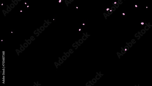 Falling cherry blossoms. Spring Easter Overlay. Animated sakura petals. 29,97fps