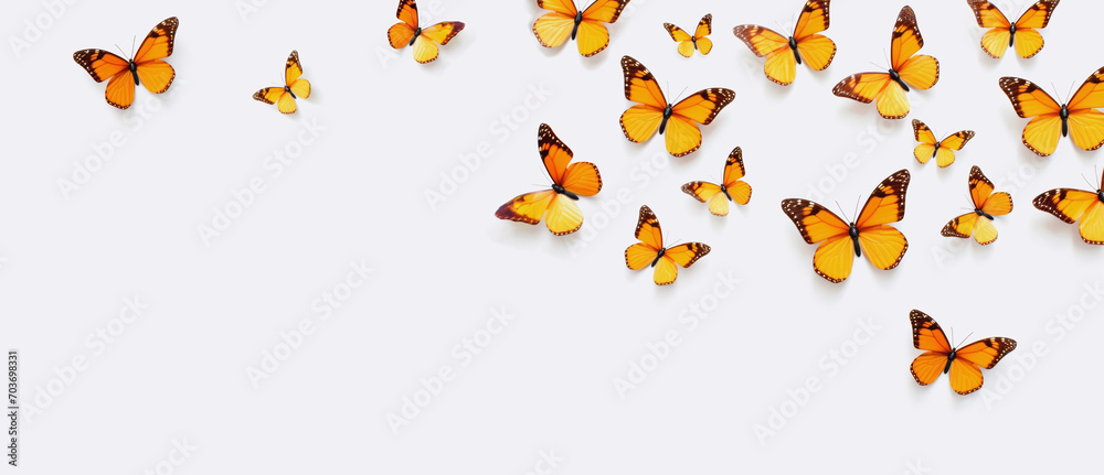 Brown butterflies on a white background, a place for text or advertisements. Brown butterflies on a white background, a place for text or advertisements.