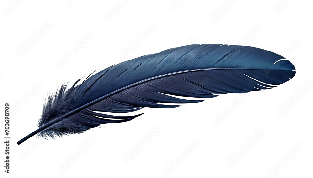 dark blue feather isolated on transparent background cutout dark blue feather isolated on transparent background cutout