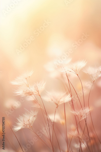 Meadow with wild flowers in the sunny summer day.Soft pastel background 