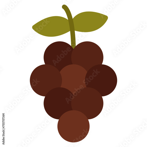 Blackberry icon