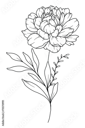 Peony Line Drawing. Black and white Floral Bouquets. Flower Coloring Page. Floral Line Art. Fine Line Peony illustration. Hand Drawn flowers. Botanical Coloring. Wedding invitation flowers