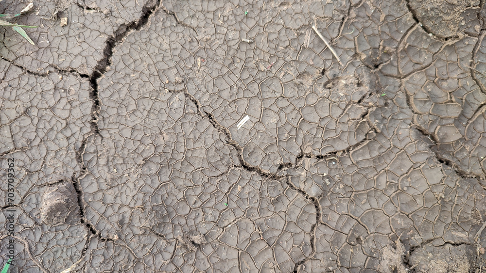 Fototapeta premium Dry cracked ground surface texture, close up view