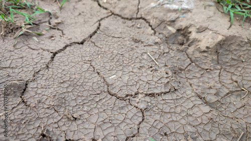Dry cracked ground surface texture, close up view